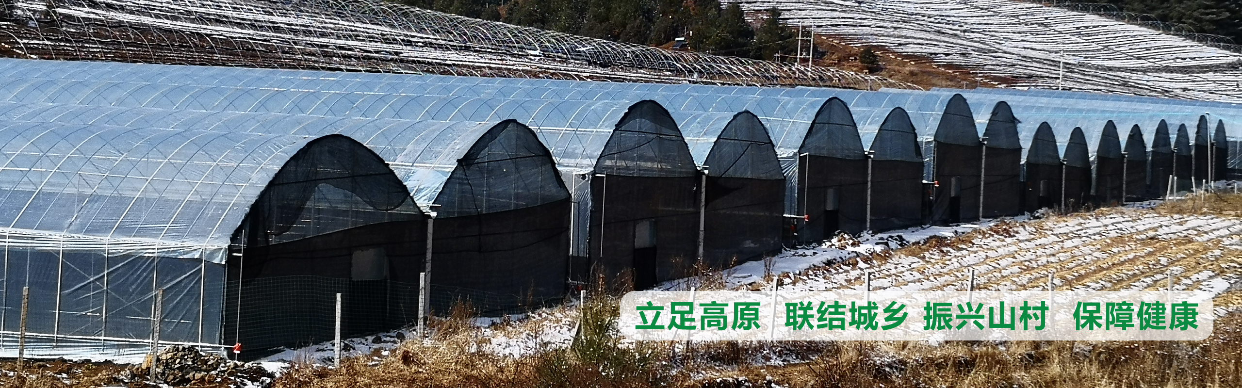 立足高原、聯(lián)結(jié)城鄉(xiāng)、振興山村、保障健康